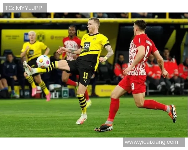 欧冠经典对决拜仁逆转多特蒙德神扑时刻震撼全场历史冷门再现